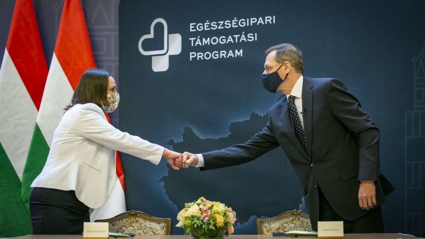 Egészségipari Támogatási Program